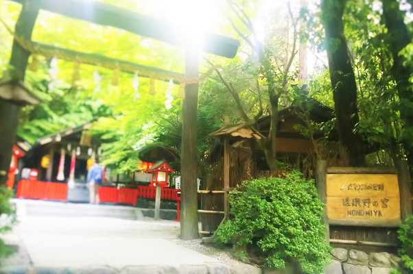野宮神社　Nomiya Shrine