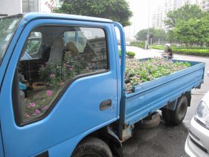 Light blue truck loaded with flowers